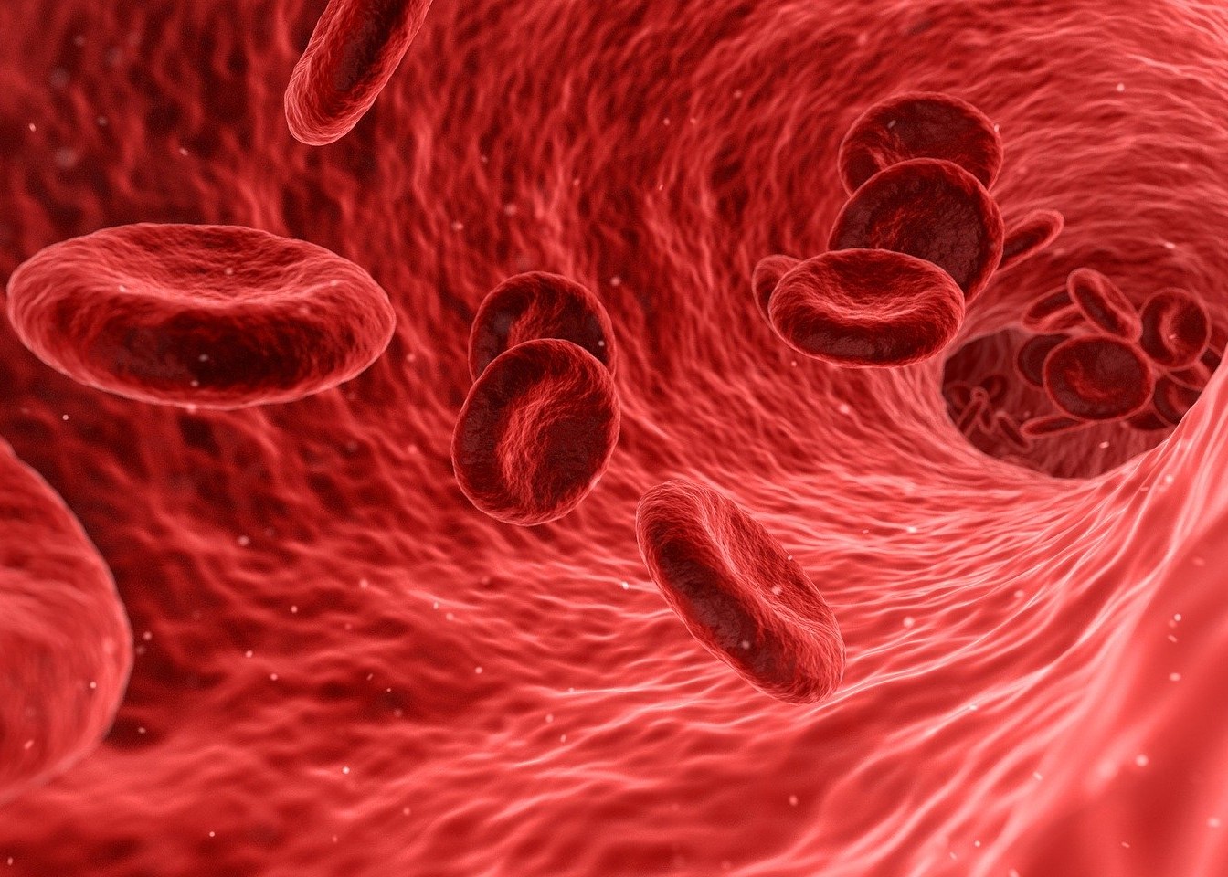 Sangue nelle feci